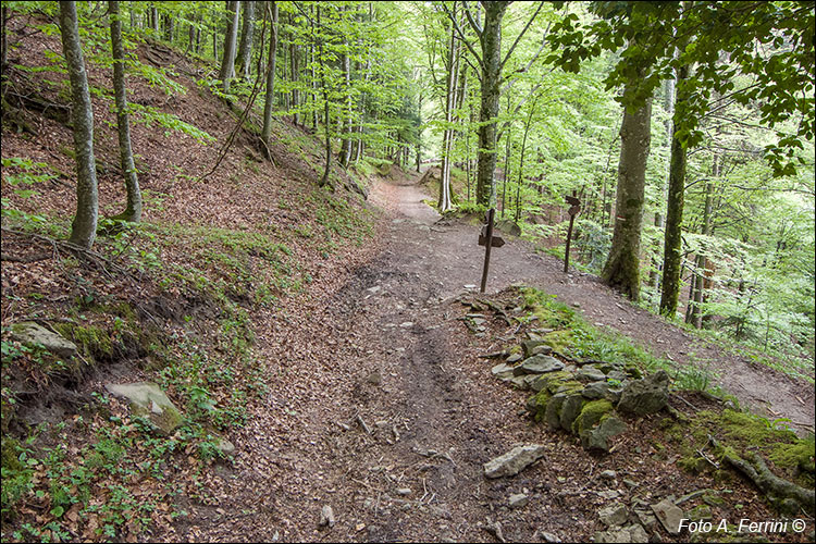 CAI 225: percorso per il Monte Penna