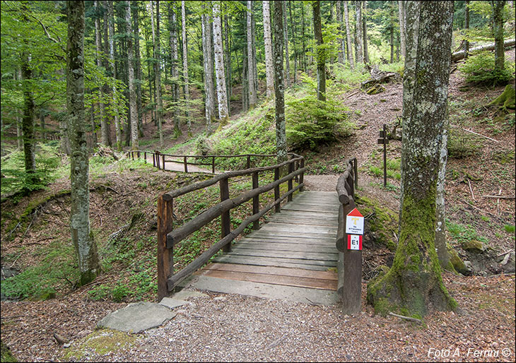 Sentiero Natura a Badia Brataglia