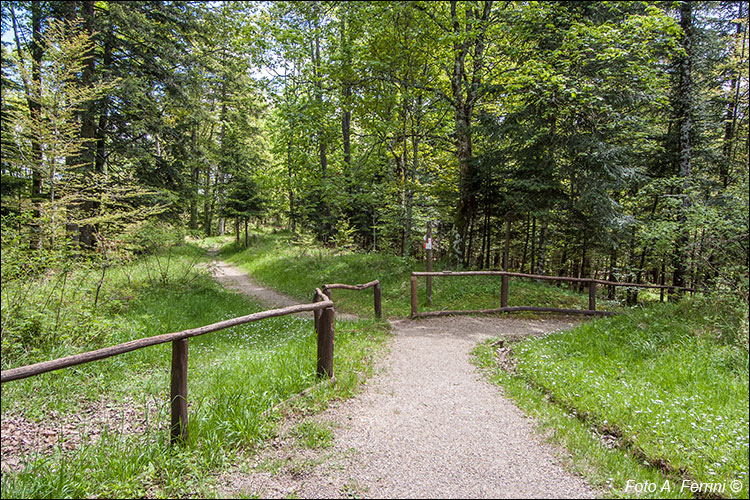 Sentiero Natura e Sentiero E1