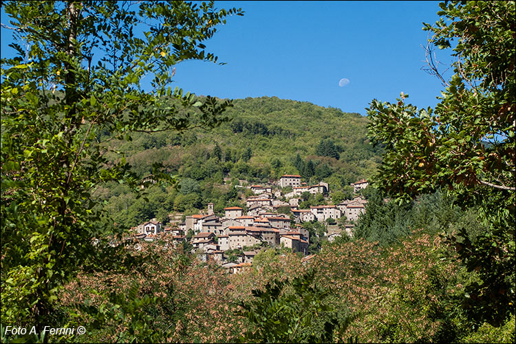 Raggiolo