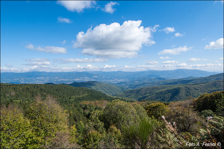 Panorami dal CAI 42C