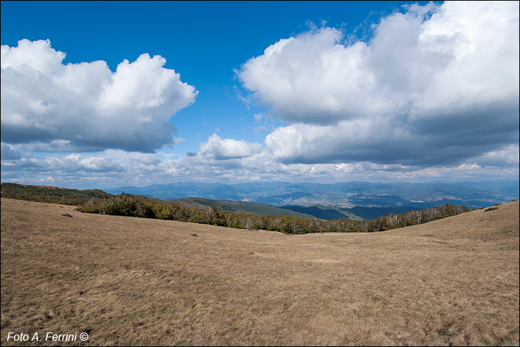 Panorama dal Pratomagno