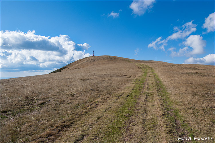 Crinale del Pratomagno