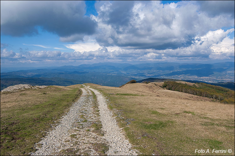 CAI 00 su Poggio Pianellaccio