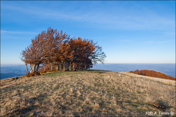 Poggio delle Portacce