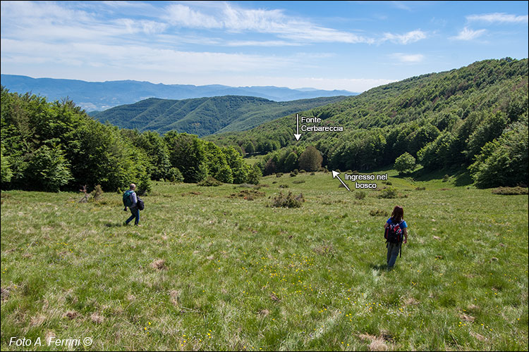 Prato di Varco alla Vetrice