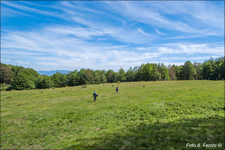 Prato di Fonte Cerbareccia