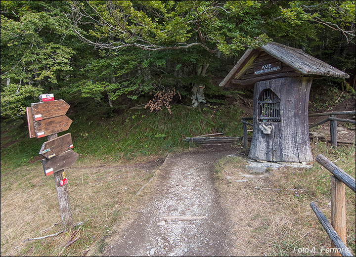 Madonna della Foresta, Passo della Calla.