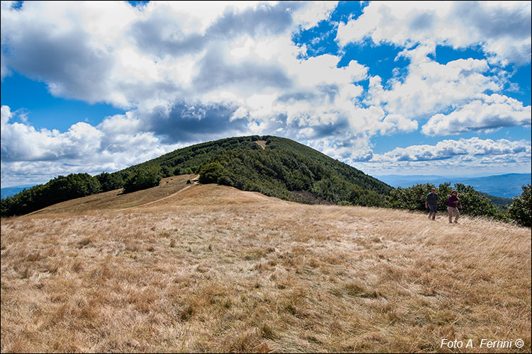 Monte Gabrendo e prati della Burraia