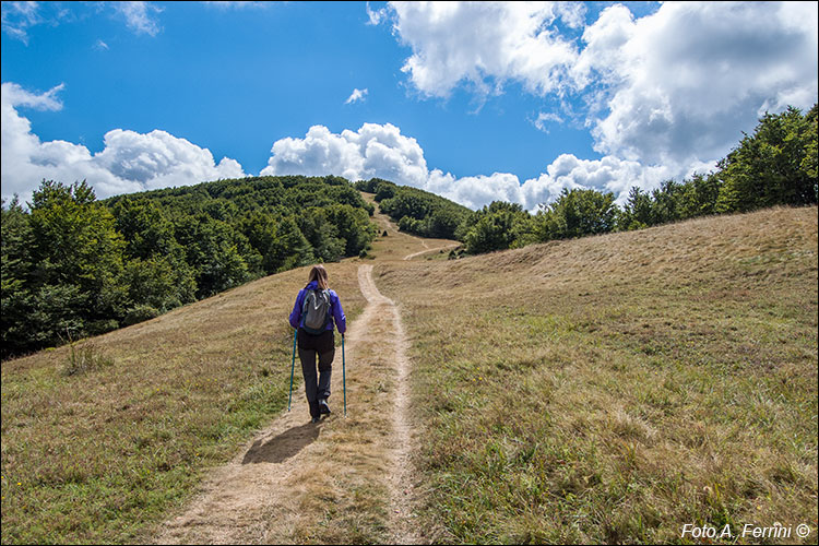 CAI 86, prati della Burraia