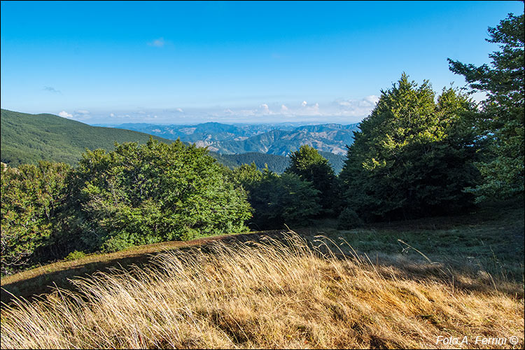 Monte Gabrendo, panorami