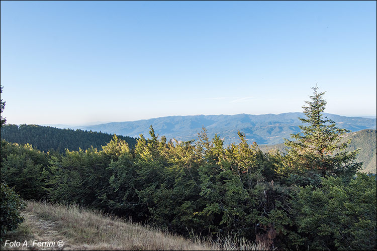 Panorama sul Pratomagno 