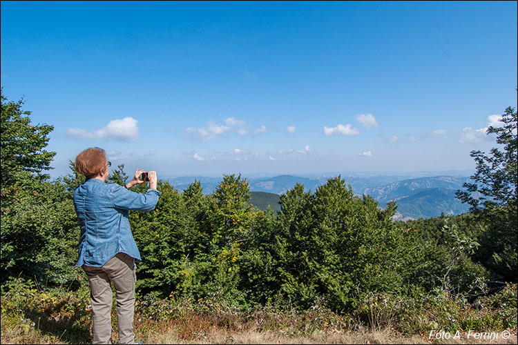 Panorami da Monte Falco