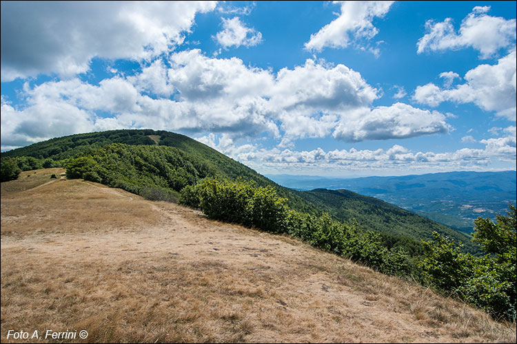 Prati Burraia panorama vista Casentino