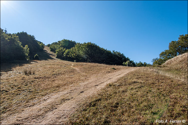 CAI 86 verso Passo della Calla