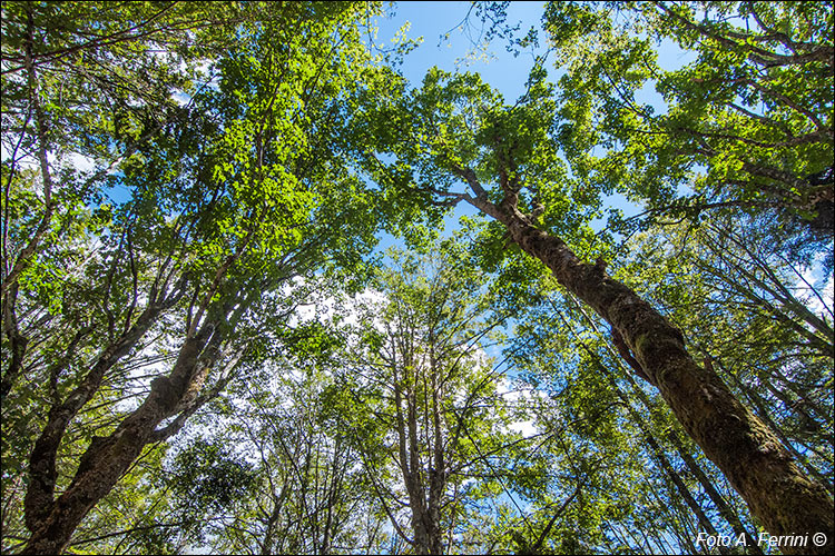 Immagini evocative nel Parco Nazionale