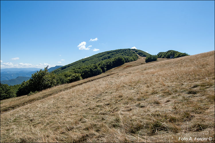 Prati della Burraia, CAI 253