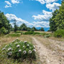 Panorama sul Casentino dal CAI 86