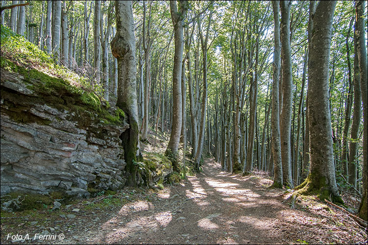 GEA 00 dalla Calla a Poggio Scali