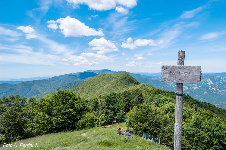 Il Falterona da Poggio Scali