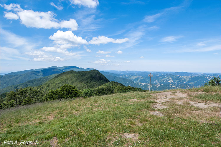 Il Falterona da Poggio Scali