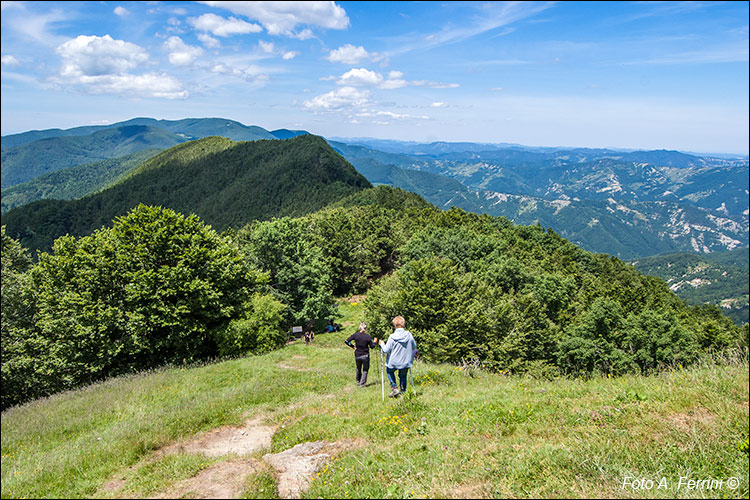 Poggio Scali