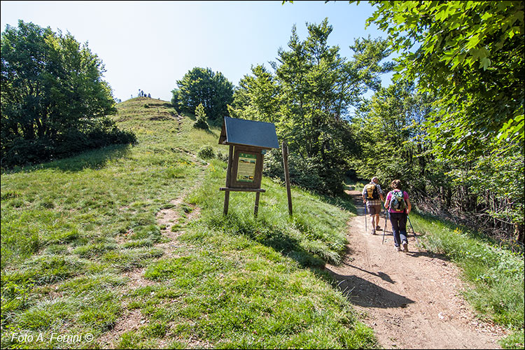 Sotto Poggio Scali