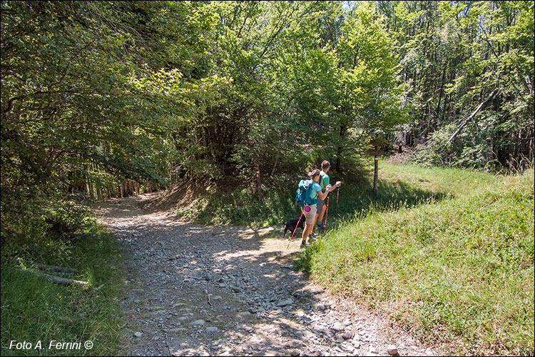 Passo Porcareccio