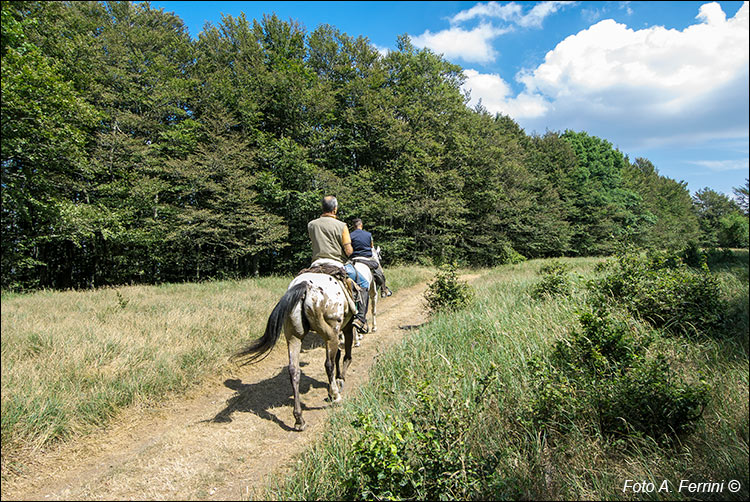 A cavallo nel Parco Nazionale