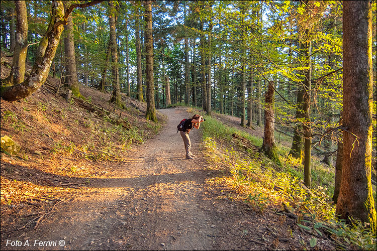 Fotografia nel Parco Nazionale