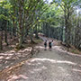 Passo Gioghetto