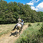 A cavallo nel Parco Nazionale