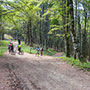 Mountain bike nel Parco Nazionale