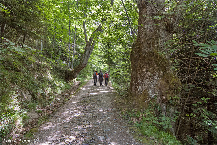 CAI 64 Badia Prataglia - Campo dell’Agio