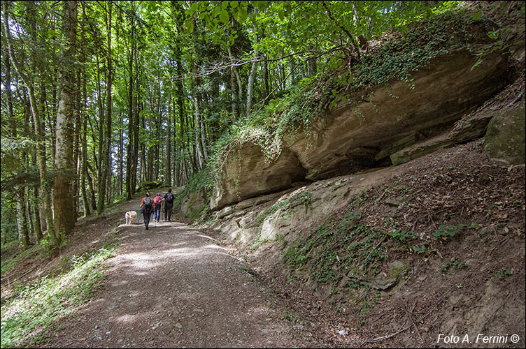 CAI 64 Badia Prataglia - Campo dell’Agio