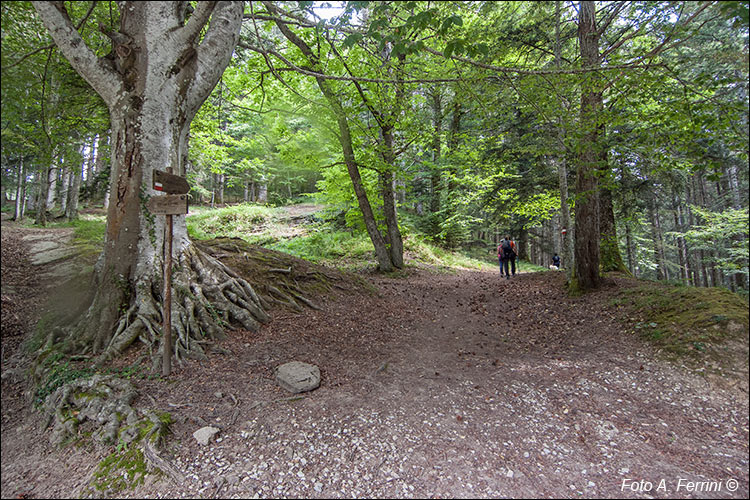 CAI 60 a Campo dell’Agio