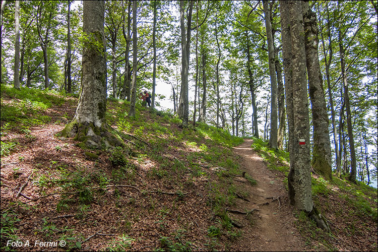 Salita sul Monte Cucco