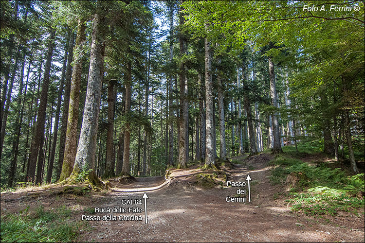 Da Campo dell’Agio a Passo dei Cerrini