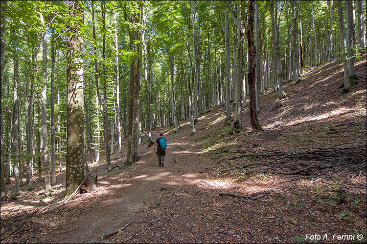 Da Campo dell’Agio a Passo dei Cerrini