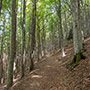 Da Campo dell’Agio a Passo dei Cerrini