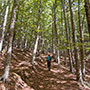 Da Campo dell’Agio a Passo dei Cerrini