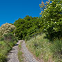 Vecchia Strada della Crocina