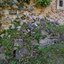 Muratura medievale