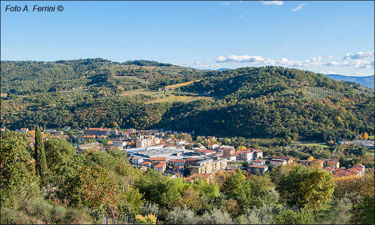 Capolona panorama