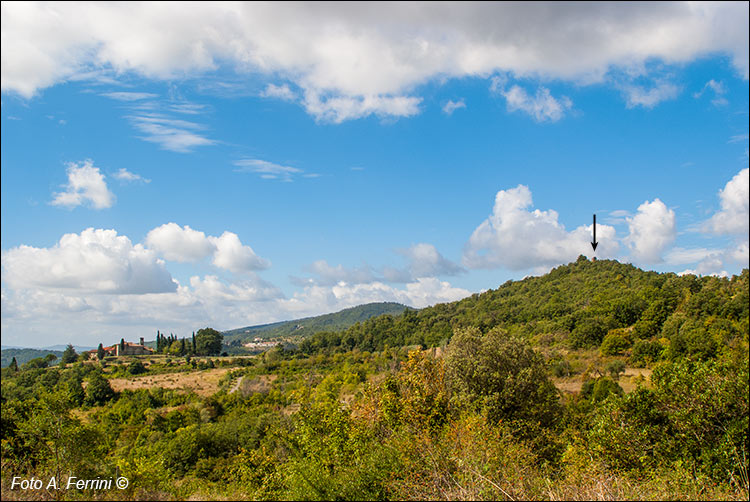 Paesaggio Comune Capolona