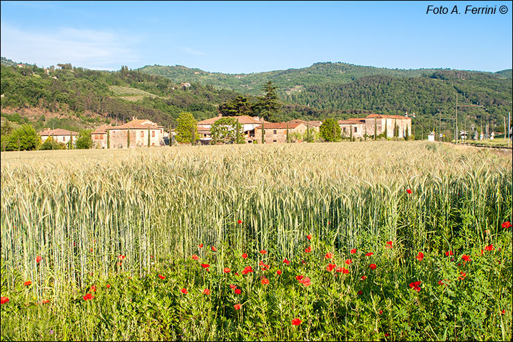 Fattoria di Baciano