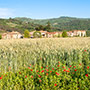 Fattoria di Baciano