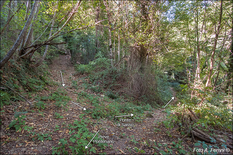 Verso il Ponte di Sasso