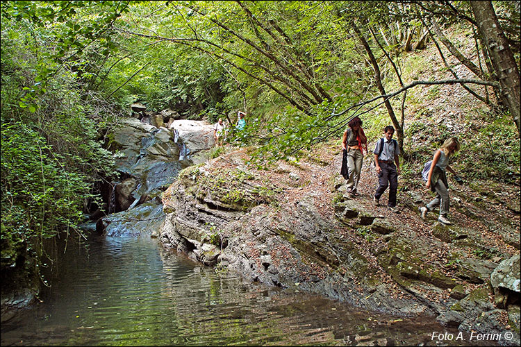 Torrente Capraia