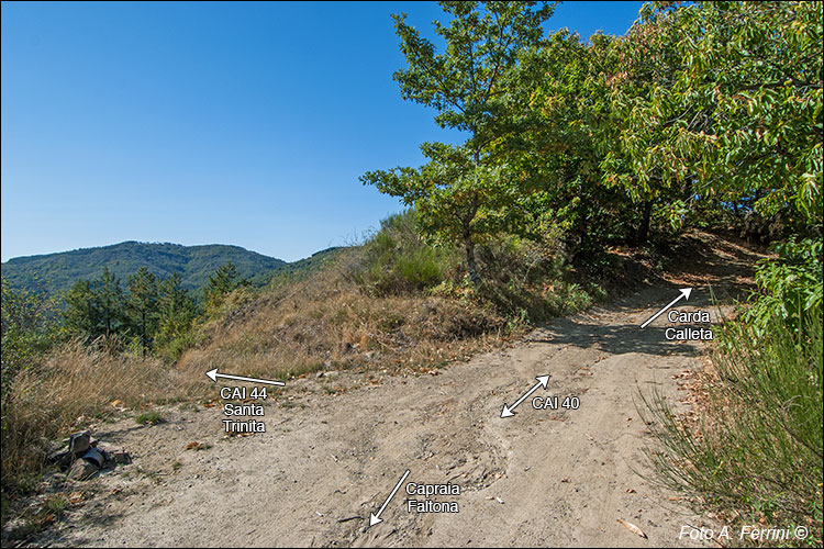 Passo alla Forca
